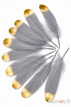 Gans goldene Spitze - 15-21 cm - grau
